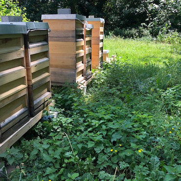 Productthumb imker mit bienen in bonn