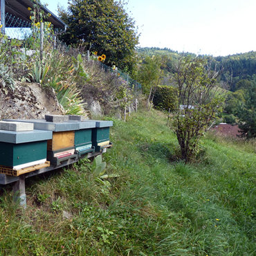 Productthumb imker honig aus dem schwarzwald