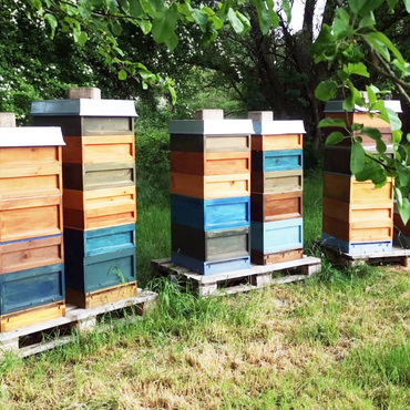 Productthumb regionalen honig kaufen von imkerei kreienhof