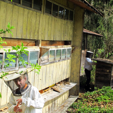 Productthumb bienenhaus von imkerei riedle in aitrach