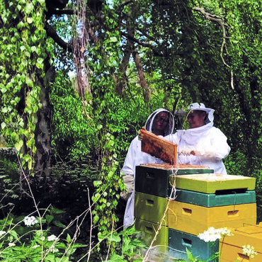 Productthumb honig online kaufen von imkerin jana klein von den peenebienen