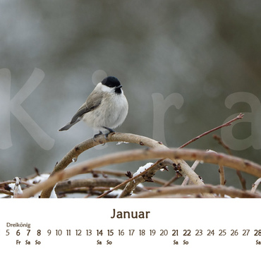 Productthumb kiras kalender 2023   vorschau 01 januar
