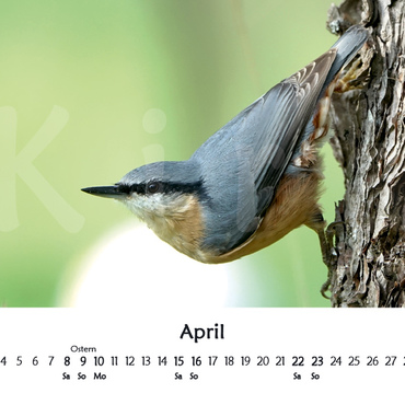 Productthumb kiras kalender 2023   vorschau 04 april