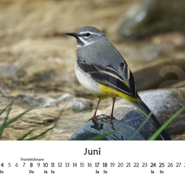Productthumb kiras kalender 2023   vorschau 06 juni
