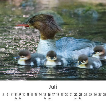 Productthumb kiras kalender 2023   vorschau 07 juli