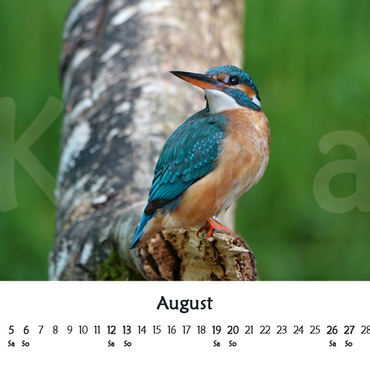 Productthumb kiras kalender 2023   vorschau 08 august