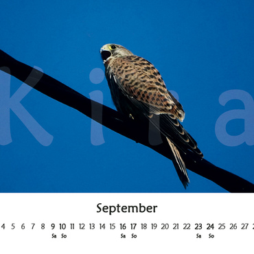 Productthumb kiras kalender 2023   vorschau 09 september