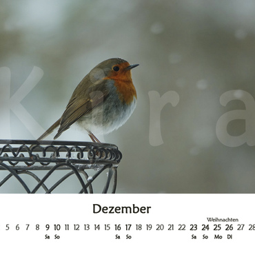 Productthumb kiras kalender 2023   vorschau 12 dezember
