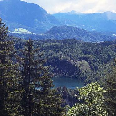 Productthumb honig kaufen aus den bayerischen alpen