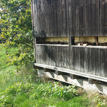 Productthumb bienenstand von imker andreas schiessl