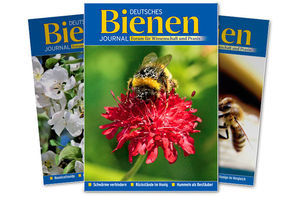 Heimathonig im Deutschen Bienenjournal
