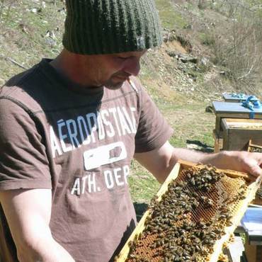 Productthumb bayerischen honig kaufen von imker miserok