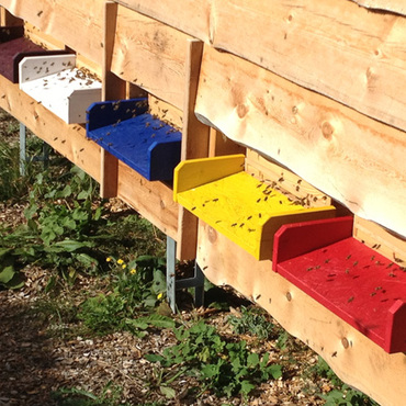 Productthumb bienenstock