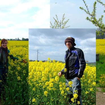 Productthumb rapsfeld