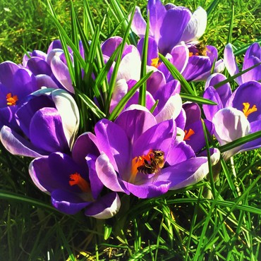 Productthumb img 20160309 134754