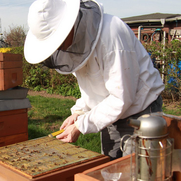 Productthumb imker jeremias bruker bei seinen bienen