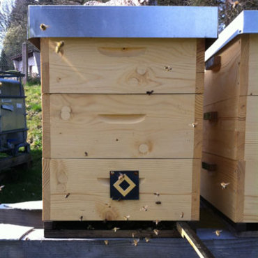 bienenvolk kaufen productthumb bienenvolk kaufen bienenvolk kaufen productthumb bienenvolk kaufen