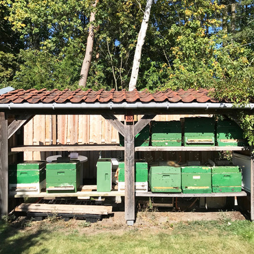 Productthumb bienenpatenschaft beim imker in niedersachsen