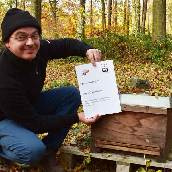 Bienenpatenschaft in sachsen