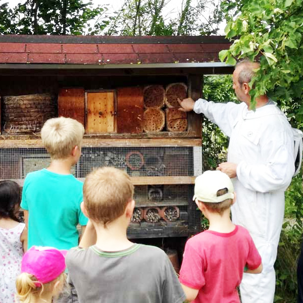 Bienenpatenschaft beim imker in bayern