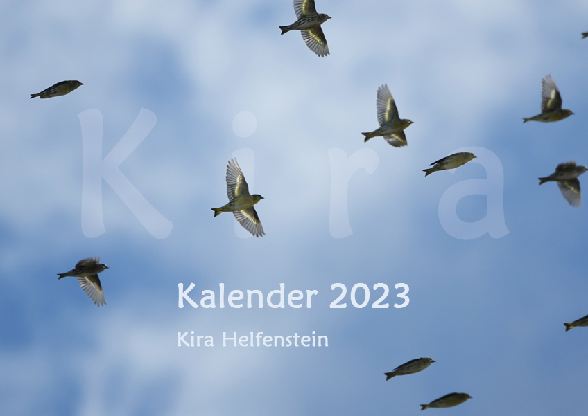 Kiras kalender 2023   vorschau 00 deckblatt