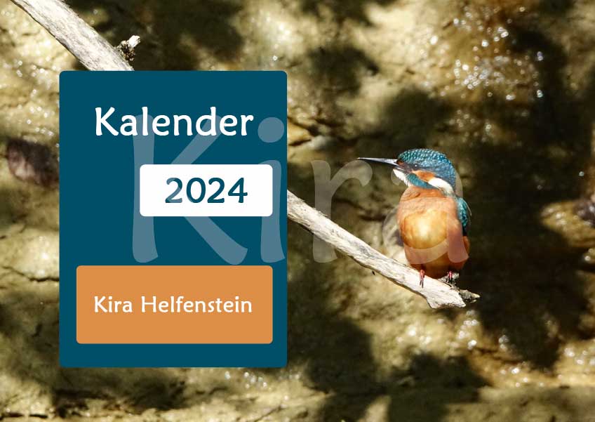 Kalender 2024 klein