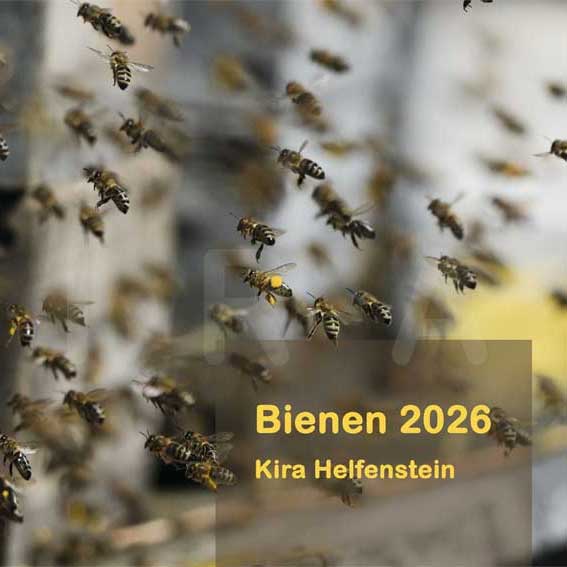 Bienenkalender 2026 vorschau titel